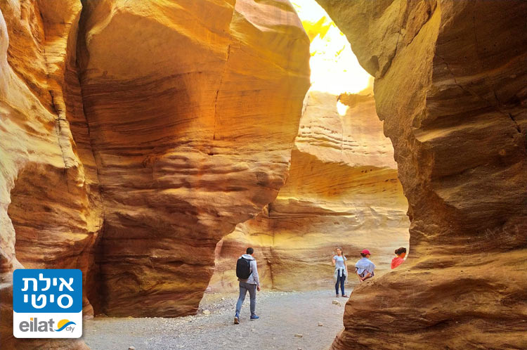 לגלות פינות קסומות במדבר ובאילת עם סול טורס