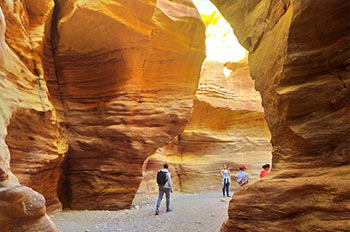 לגלות פינות קסומות במדבר ובאילת עם סול טורס