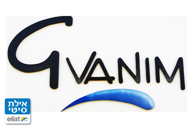 גוונים העתקות אילת