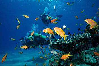 Клуб подводного плаванья «Аква спорт»