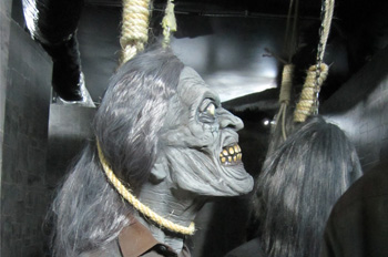 דרקנס אילת - חוויה מצמררת