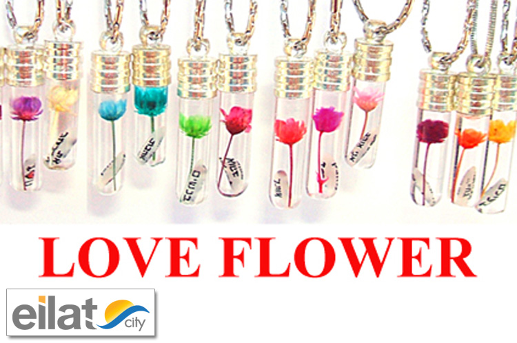 אמנות זעירה אילת - כתיבה על אורז