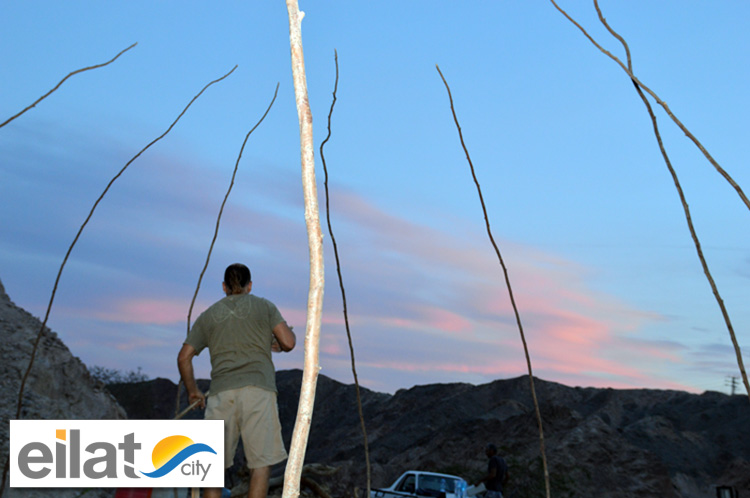 סווט-לודג' אילת - הקמת האוהל