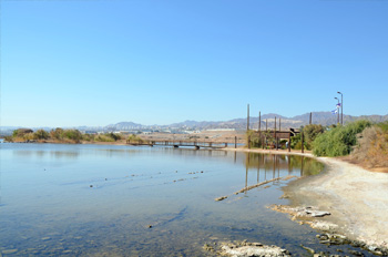 האגן הגדול בפארק הציפורים