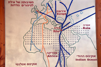 תנועת הציפורים מאירופה - אילת - אפריקה