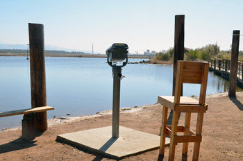 משקפת לצפייה קרובה יותר בציפורים הנודדות