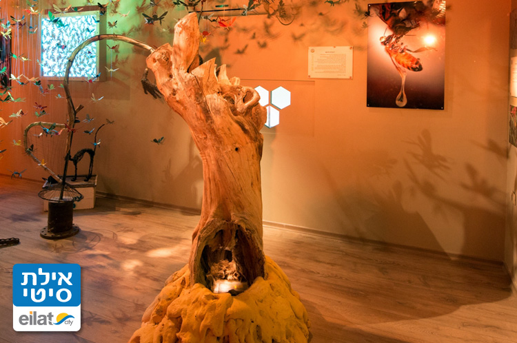 מכוורת פורת מושב עין יהב