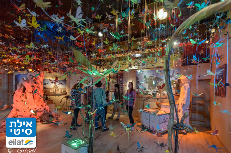 דבורי מתכת מעופפות במכוורת פורת