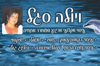 ויולה סגל אילת