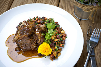 קולוניה אילת