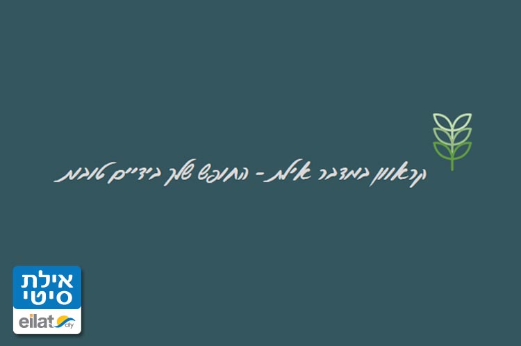 קרוואן במדבר אילת