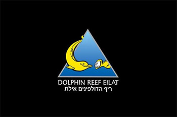 Dolphin Reef Beach Bar
