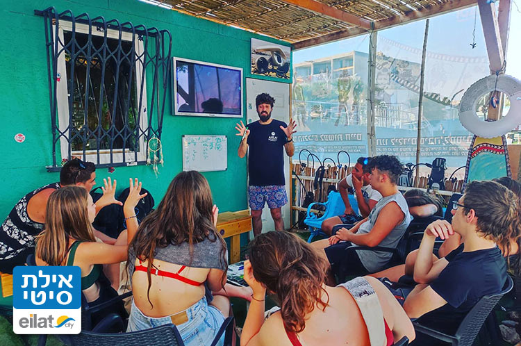 צלילות הכרות, ריענון, צלילות לילה, קורסים ועוד