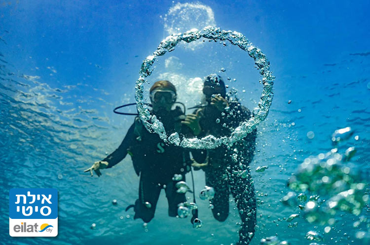 צלילות מסעירות מתחת לפני הים