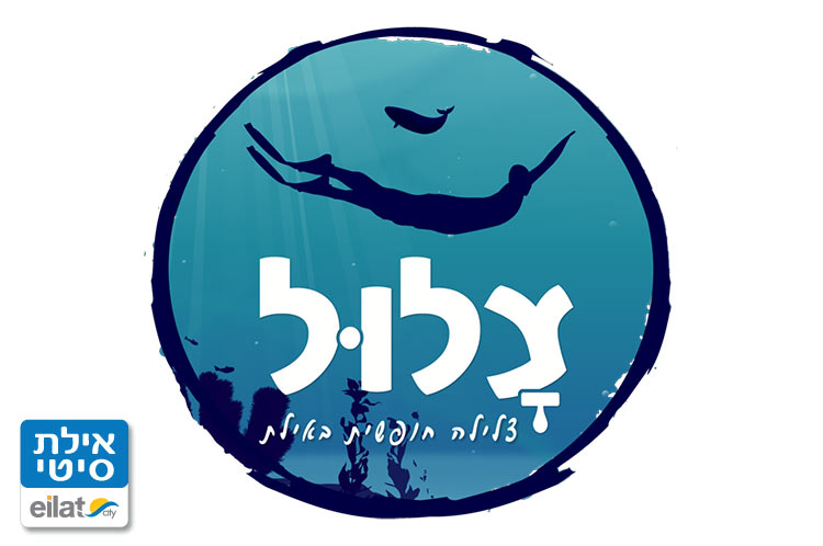 צלול - צלילה חופשית אילת