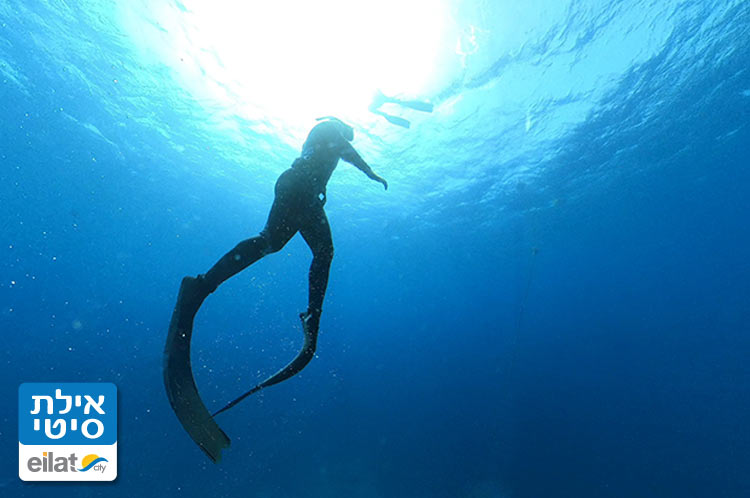 לגלות עולם צלול מתחת לפני המים