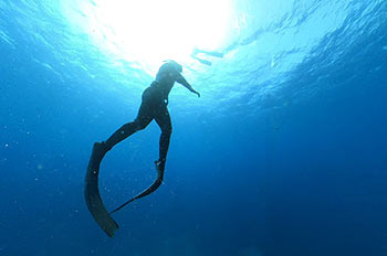 לגלות עולם צלול מתחת לפני המים