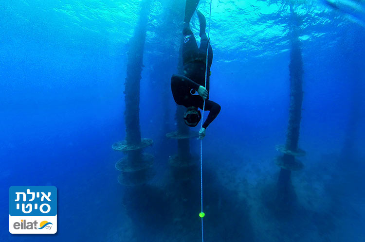 לרדת אל עולם המים