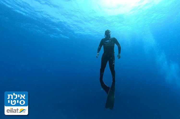 צלילה חופשית עם החברה של צלול