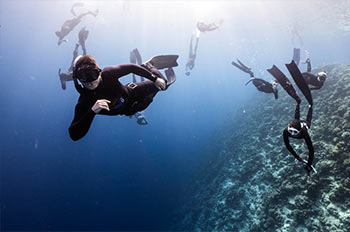 פרידייב ישראל - לגלות את נפלאות העולם מתחת למים