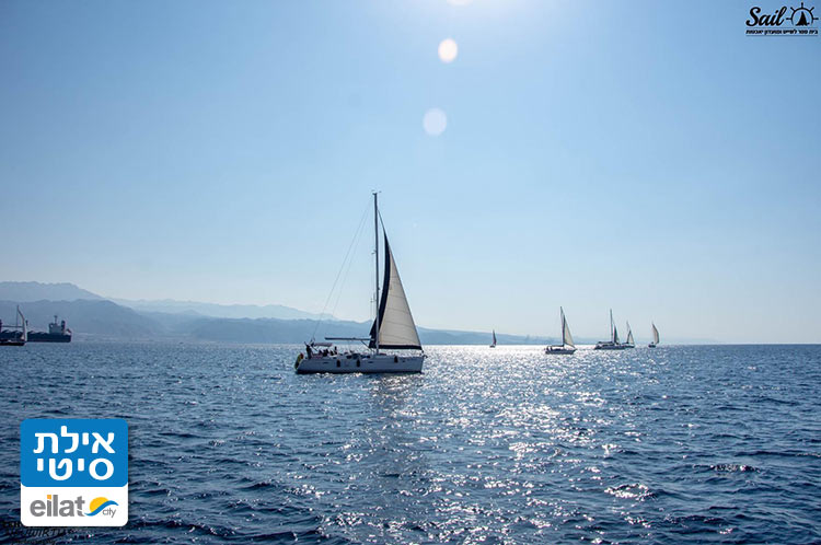 הפלגות במי מפרץ אילת