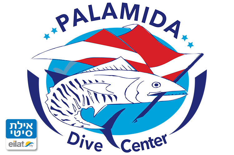 פלמידה אילת