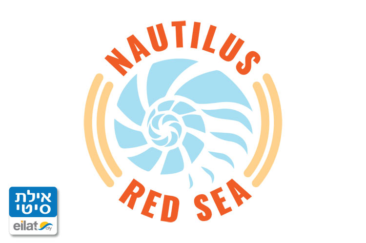 מועדון צלילה נאוטילוס רד סי אילת