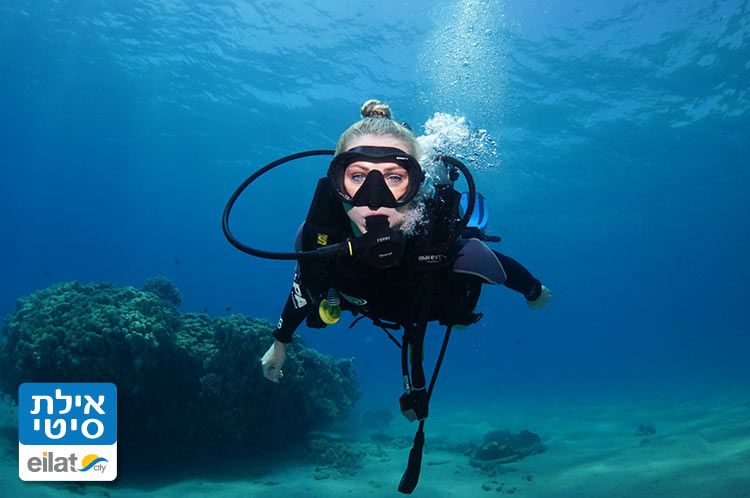 לצלול בשוניות האלמוגים עם נאוטילוס