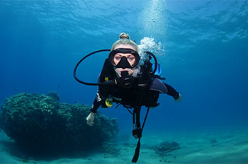 לצלול בשוניות האלמוגים עם נאוטילוס