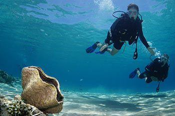 נאוטילוס קורסי צלילה, צלילות הכרות