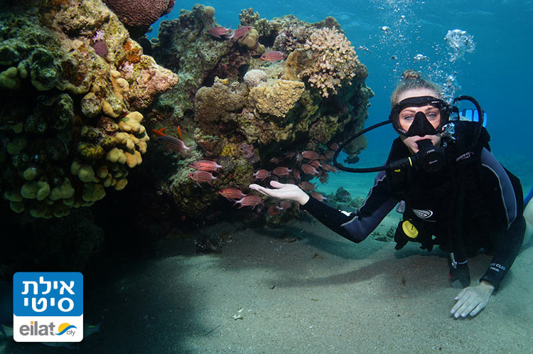 לגלות את עולם הדממה