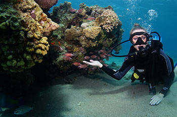 לגלות את עולם הדממה