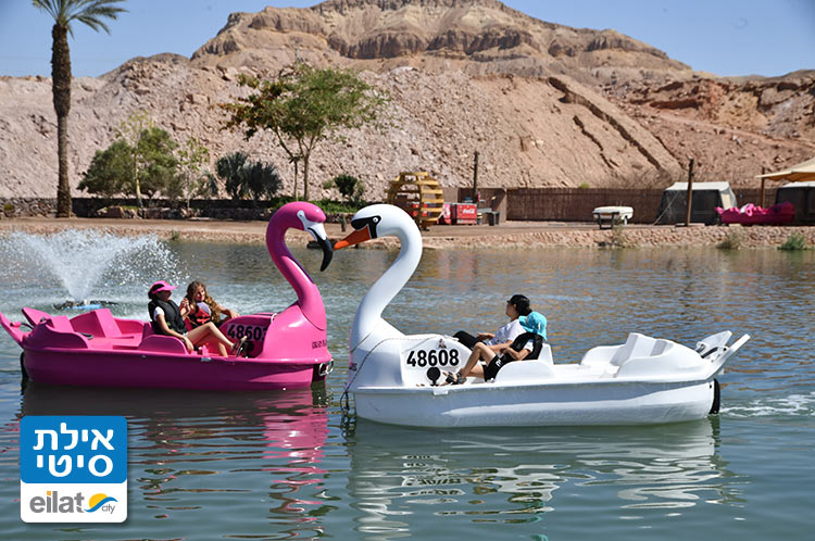 להירגע עם כל המשפחה בלב המדבר