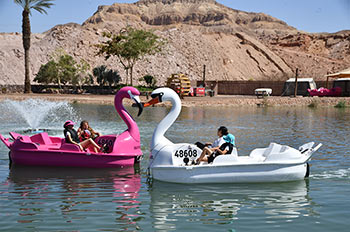 להירגע עם כל המשפחה בלב המדבר