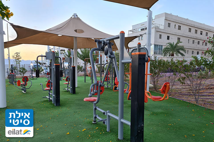 פארק כושר מוצל ומרווח