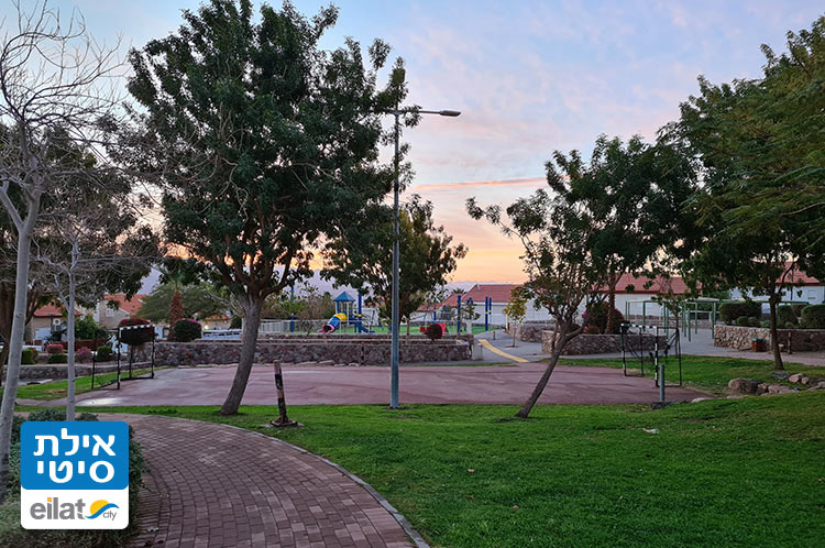 גינה ציבורית, מדשאה ומתקנים