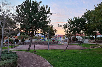 גינה ציבורית, מדשאה ומתקנים