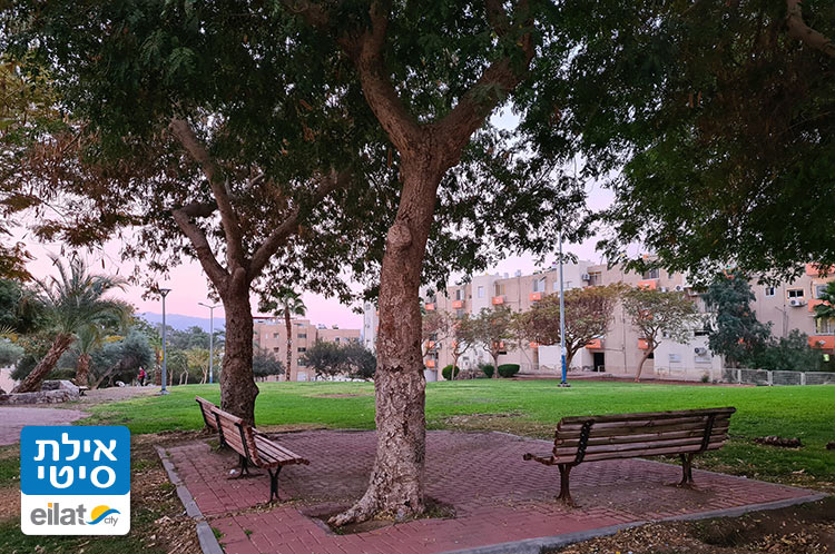 גן המשאלות אילת