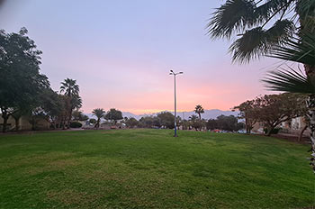 גן ירוק בלב שכונת אופיר