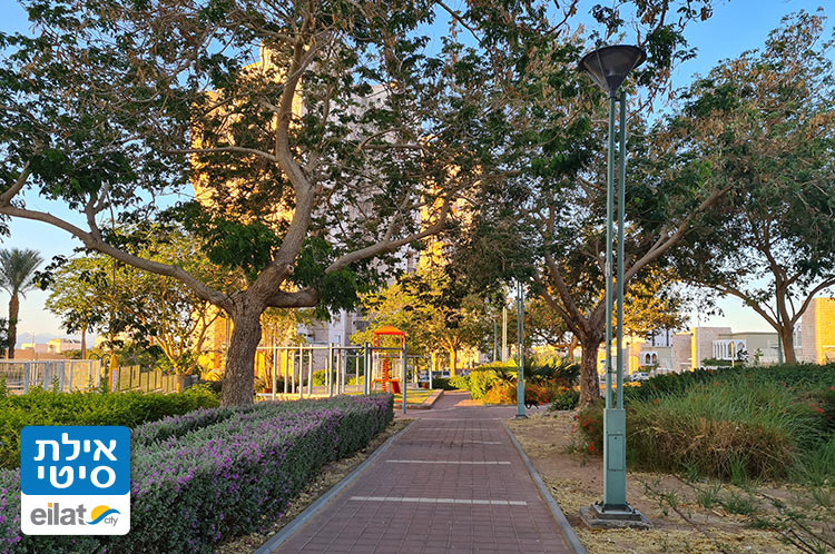 גינה פורחת סביב גן חשמונאים