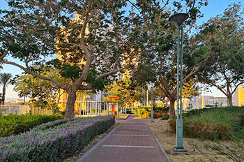 גינה פורחת סביב גן חשמונאים