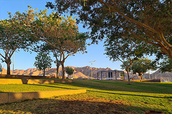 גן מסביב לגן משחקים צוקי השמש