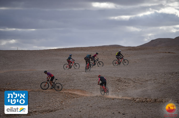 רכיבות שטח, ליווי, הקפצות, אירגון, השכרה ועוד