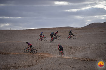 רכיבות שטח, ליווי, הקפצות, אירגון, השכרה ועוד