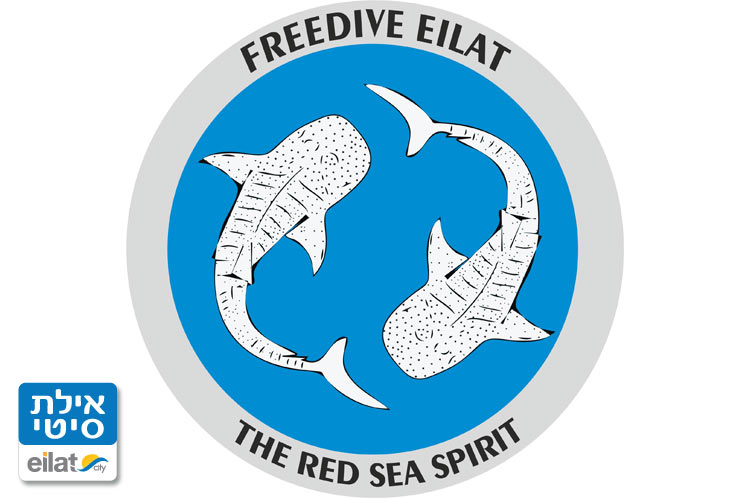 צלילה בעצירת נשימה אילת