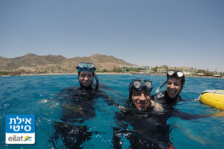 צלילה חופשית ברחבי המפרץ