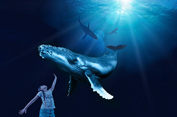 לגעת מקרוב ביונקים עצומים