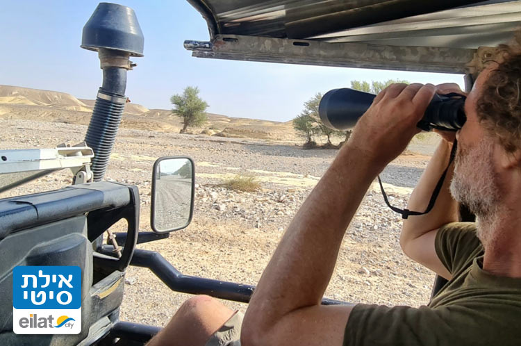 מדברון - לגלות את המדבר מחדש