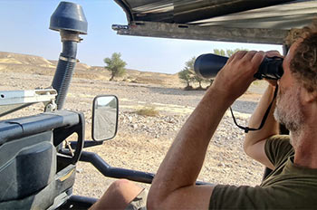 מדברון - לגלות את המדבר מחדש