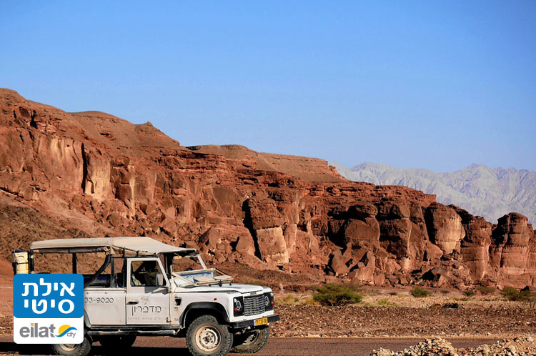 לטייל בערבה ובשמורת הרי אילת ובאילת עם מדברון